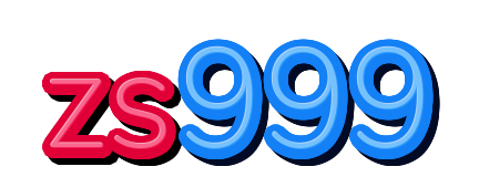zs999 — logo kanal